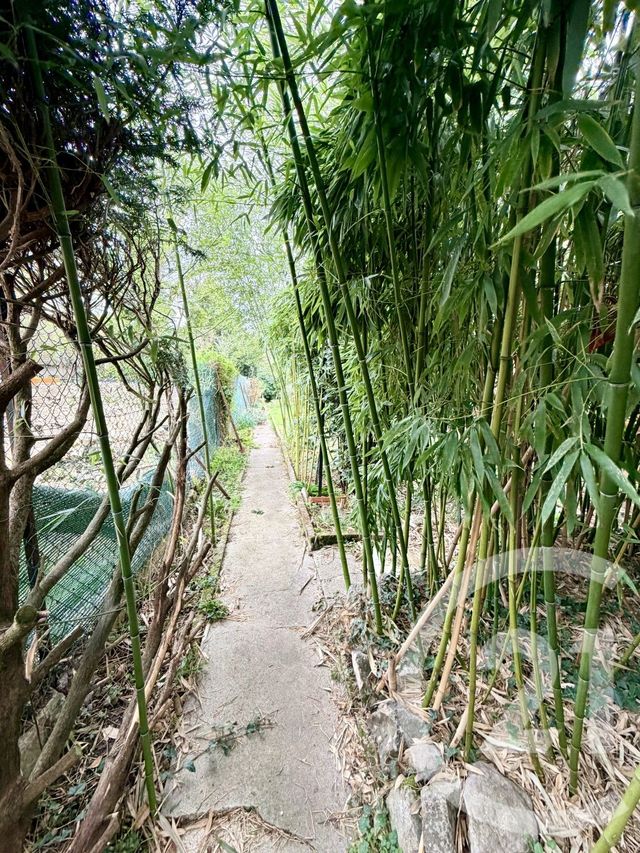 maison à vendre - 3 pièces - 53.32 m2 - THORIGNY SUR MARNE - 77 - ILE-DE-FRANCE - Century 21 Orquéra Immobilier