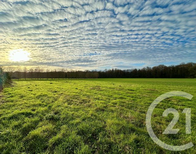 terrain à vendre - 369.0 m2 - LESCHES - 77 - ILE-DE-FRANCE - Century 21 Orquéra Immobilier