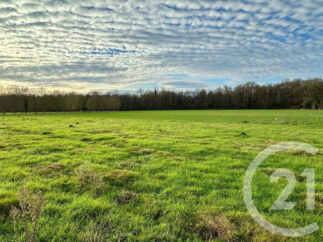 terrain à vendre - 369.0 m2 - LESCHES - 77 - ILE-DE-FRANCE - Century 21 Orquéra Immobilier