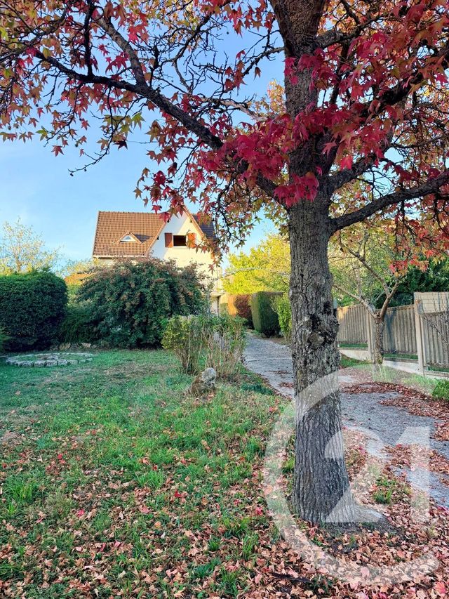 maison à vendre - 5 pièces - 126.28 m2 - THORIGNY SUR MARNE - 77 - ILE-DE-FRANCE - Century 21 Orquéra Immobilier